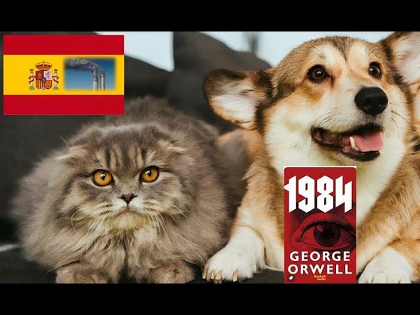 Испанский 9 1 1: За кошку или собаку на балконе-расстрел,за переход  улицы не правилам-каторга