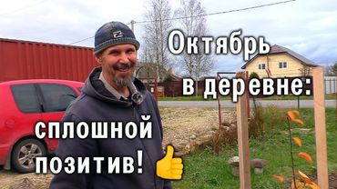Октябрь в деревне - позитивные новости! 👍