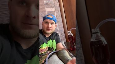 ДОНОР (смешное видео, юмор, приколы, поржать, прикол)