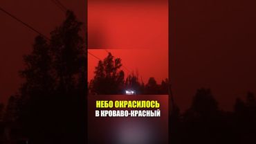 Дым от лесных пожаров окрасил небо над Канадой в апокалиптический красный цвет