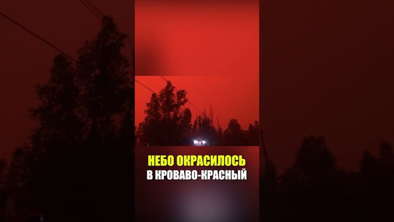 Дым от лесных пожаров окрасил небо над Канадой в апокалиптический красный цвет