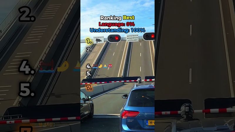 Ranking Best Language 0% Understanding 💯