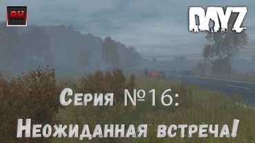 Dayz Standalone. Выживание. (Серия №16 - Неожиданная встреча!)