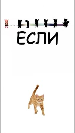 all conciders are random 