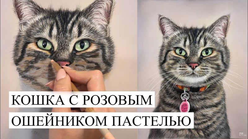 ПОРТРЕТ КОШКИ С РОЗОВЫМ ОШЕЙНИКОМ