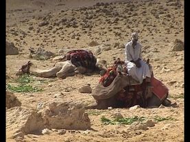 Запретные темы истории: Тайны семи пирамид (1 серия)