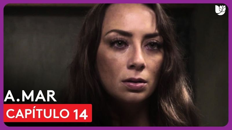 A.Mar | Capítulo 14 - Resumen
