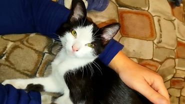 #Славянск. 21 сентября 2025г. Вечер.