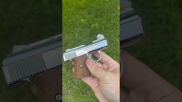 RAVEN ARMS MP-25 .25 acp