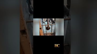 Authorities express confidence in finding 7 remaining escaped New Orleans inmates