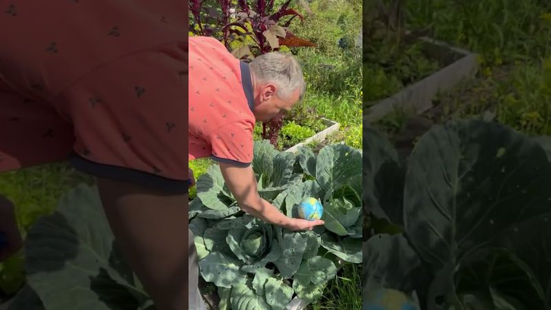 Если не решать задачи по математике