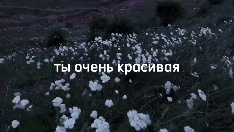 отмечай ее Это прекрасный и очень личный вопрос. Любимый человек — эт...