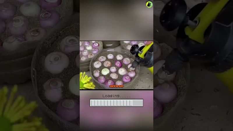 Voici comment faire pousser des oignons dans des bouteilles 🧅♻️ #Jardinage #AstuceMaison #DIY