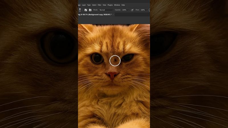 Clone Trick   Photoshop short Tutorial