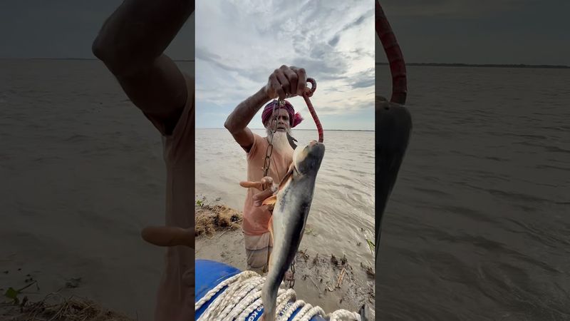 Best fishing idea with fish bait for carp. #fishing #fishinglife