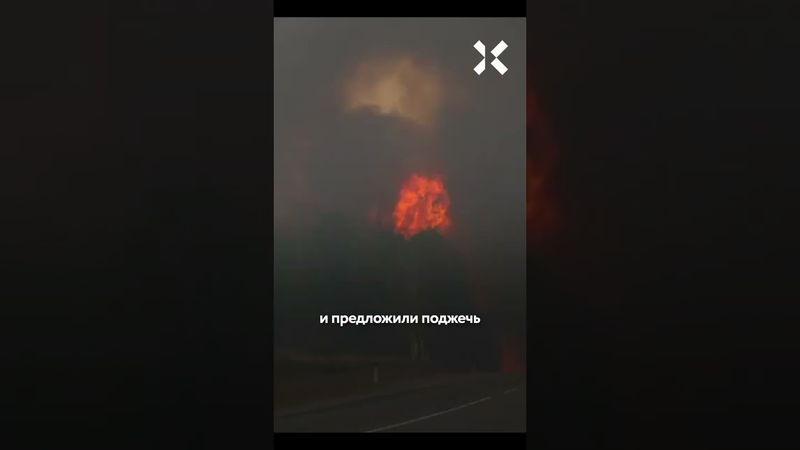 Тушили пожары, а оказались в СИЗО