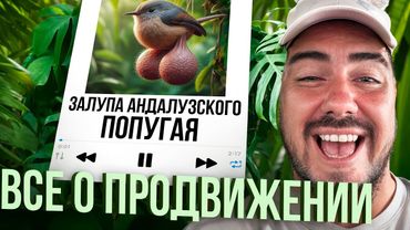 Вся правда о Продвижении треков. И что делать