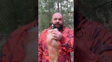 Очень странный хвост…