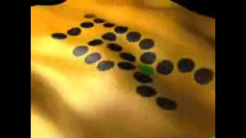 Фрагмент заставки (ТВС,2002-2003)