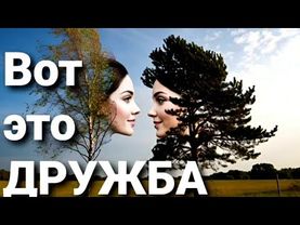 "Вот это Дружба".Очень душевно.Автор песни Маргарита Барабанова.