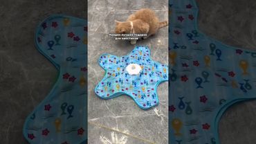 🅰️ Артикул Яндекс Маркет: YM10176184