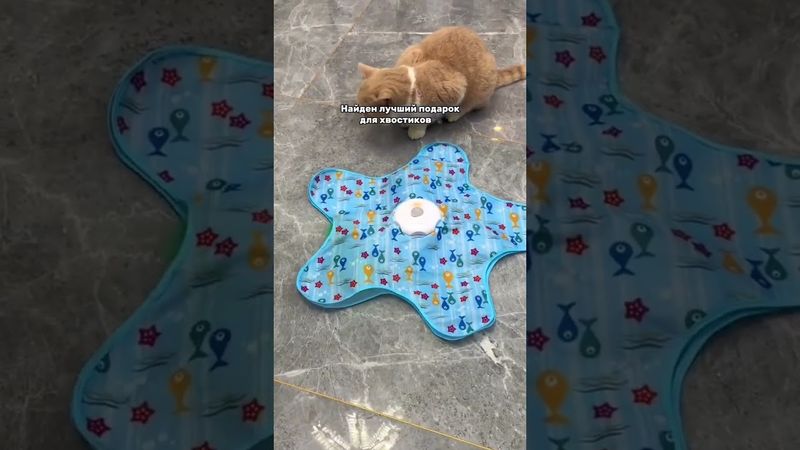 🅰️ Артикул Яндекс Маркет: YM10176184