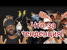 Я в шоке от такой тенденции