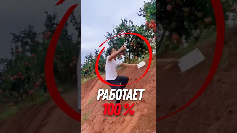 😲 Самый ЛЁГКИЙ способ есть гранат!