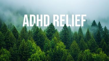 ADHD Relief Music | Focus Music, Concentration Music, Study Music | Brain Reset