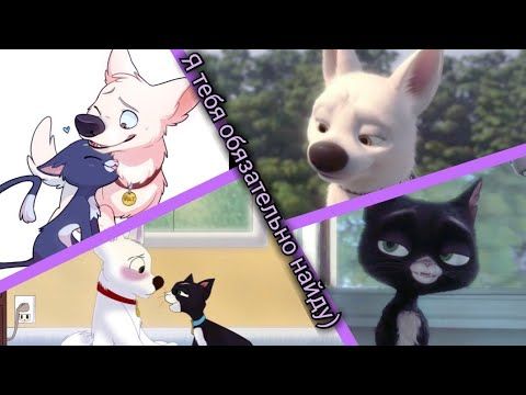 Вольт: Клип "Dior" заказ