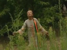 Светлана Каржавина  Серая лошадка Gray Horse