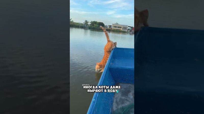 На рыбалку всей толпой 😮