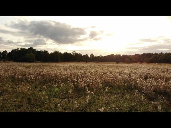 Royalty Free 4K Sunset, Field Stock Video Footage [ DJI Drone Footage ]