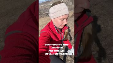 Чем полезны горы? А вы бывали в горах? #жизньвдеревне #алтай #travel