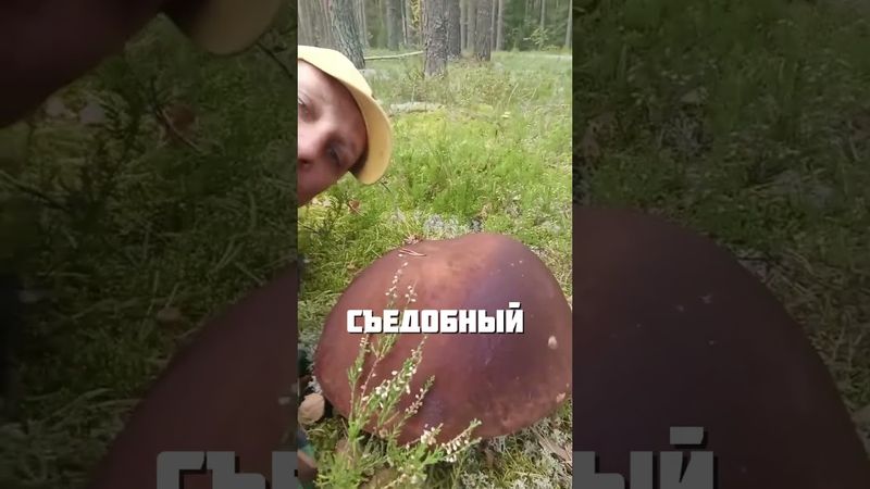 КАК ТАКОЙ НАЙТИ