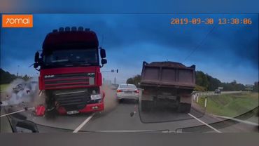 ТОРОПЫГИ ОКТЯБРЯ 2019г.