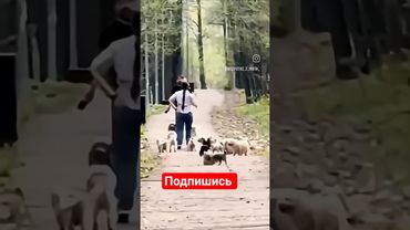 Когда муж купил китайца #подпишись #automobile #юмор