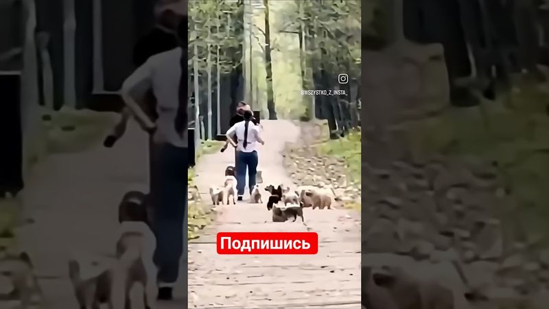 Когда муж купил китайца #подпишись #automobile #юмор