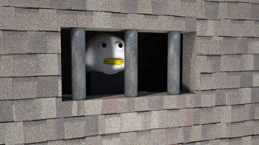 Гусь в тюрьме