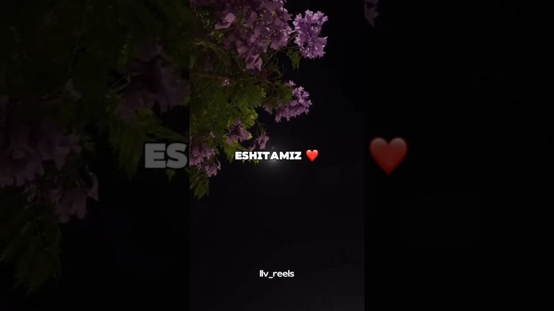 Oxirigacha eshitamiz ❤️ obuna boʻling 🫂 #manolisozlar #iymon #top #statusvideo #shorts #omad #like