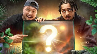 On fait UN TERRARIUM sans rien y connaitre ft @Mastu