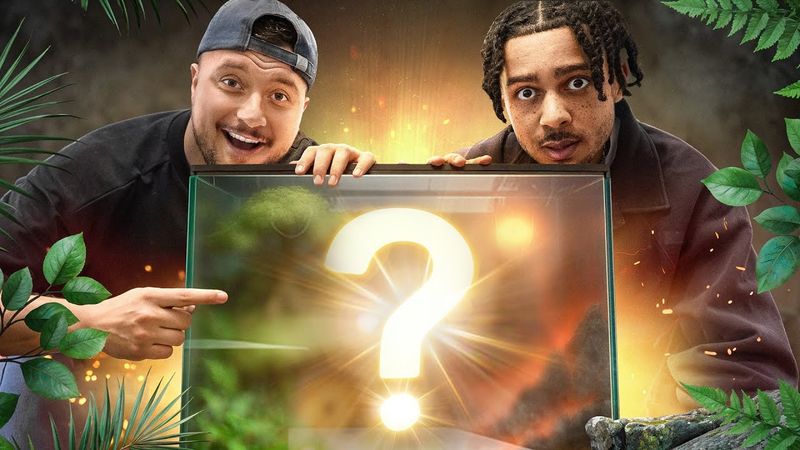 On fait UN TERRARIUM sans rien y connaitre ft @Mastu