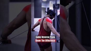 Reverse Flyes: Know The Difference ⚠️ #shoulders