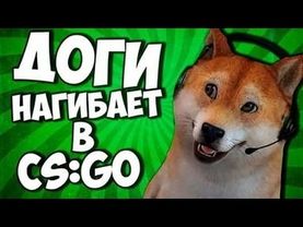 ГОВОРЯЩИЙ ПЁС ДОГИ RUSSIAN DOGE | РАЗДАЕТ СКИНЫ В CS:GO | КРУТИМ КЕЙСЫ #FIXCSGO
