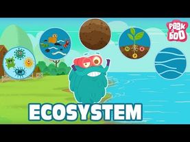 ECOSYSTEM - The Dr. Binocs Show | Best Learning Videos For Kids | Peekaboo Kidz