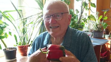 Эталонная теплица с томатами и арбузы в грунте 4.05. по регенеративному земледелию.