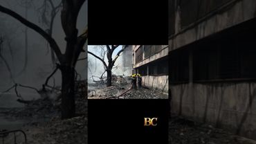 At least 240 people killed in the Air India crash