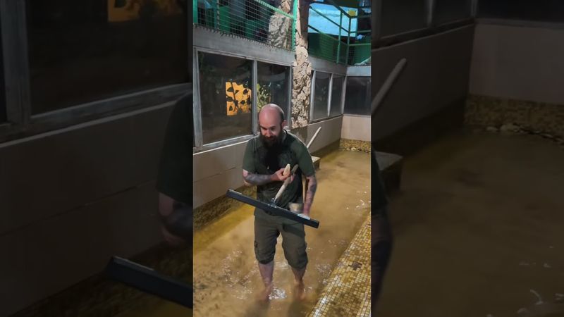 Прикиньте да, так тоже бывает