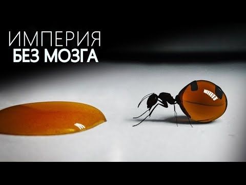 Nous avons gravement sous-estimé les fourmis — Nouvelles recherches