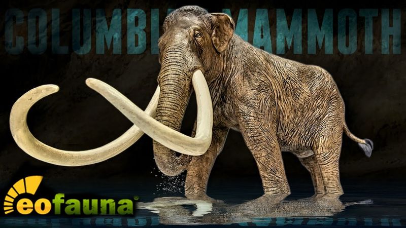 2025 Eofauna 1:35 Columbian Mammoth Review!!!